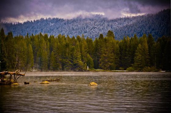 Sierra National Park/ Huntington Lake