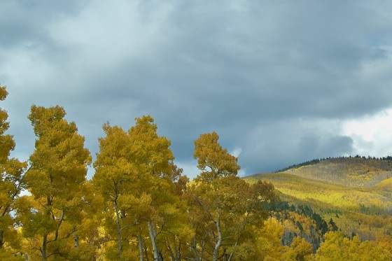 Santa Fe National Forest