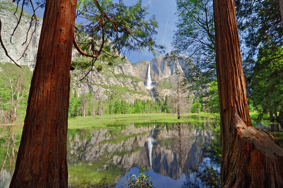 Yosemite National Park