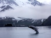 Kenai Fjords National Park