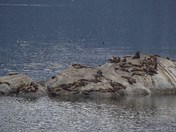 Glacier Bay National Park