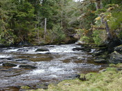 Tongass National Forest