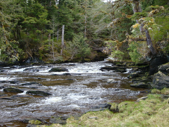 Tongass National Forest
