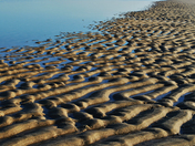 Cape Cod National Seashore