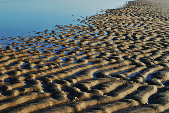 Cape Cod National Seashore