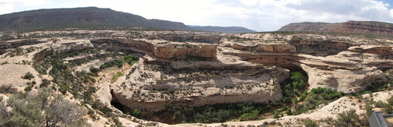 Natural Bridges National Monument