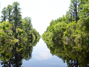 Okefenokee National Wildlife Refuge