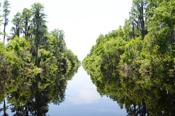 Okefenokee National Wildlife Refuge