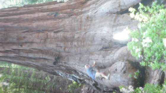 yosimite national park
