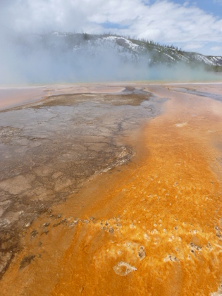 Yellowstone National Park