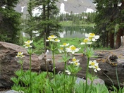 Fossil Ridge Wilderness Area