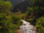 Grand Canyon National Park