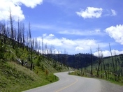 Yellowstone National Park