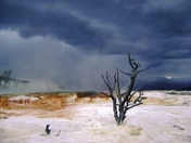 Yellowstone National Park