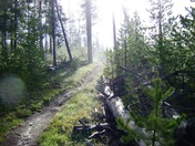 Yellowstone National Park