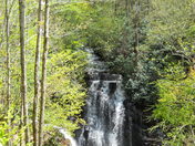 Smoky Mountain National Park
