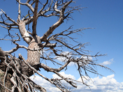 Grand Tetons National Park