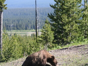 Yellowstone National Park