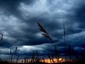 Beaverhead/Deerlodge National Forest
