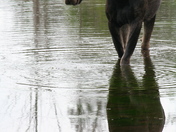 Grand Tetons National Park