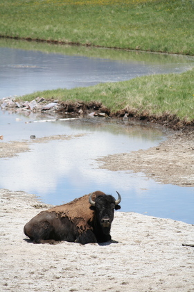 Yellowstone National Park