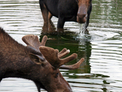 Grand Tetons National Park