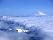 Mt. Rainier National Park