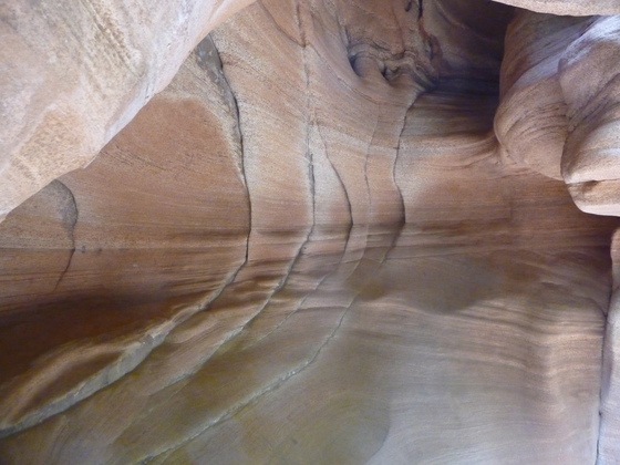 ZIon National Park