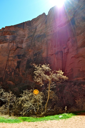 Zion National Park