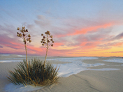 White Sands National Monument