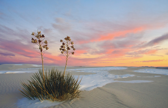 White Sands National Monument