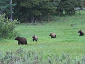 Grand Teton National Park