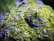 Pinnacles National Monument