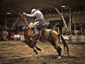 Bronco Ride