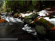 Duchesnay Creek (late fall)