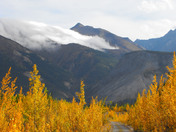 Old Peterson Creek Road
