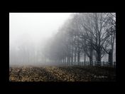 Fog On Farm resize.jpg