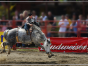 first time to the rodeo