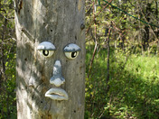 Face in the woods