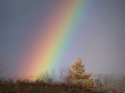 The end of the rainbow