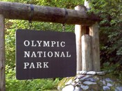 Olympic National park