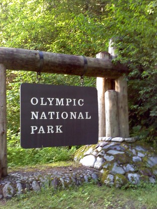 Olympic National park