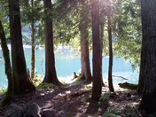 Olympic National park