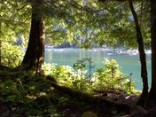 Olympic National park