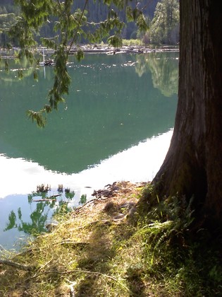 Olympic national park