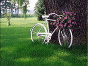 lazy Sunday afternoon