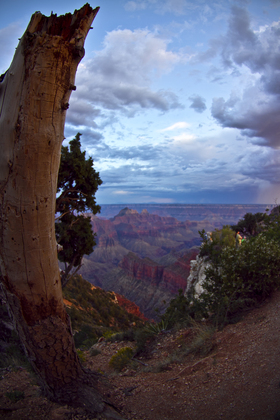 Grand Canyon National Park