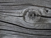 Knothole