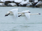 Heading out to the Lake
