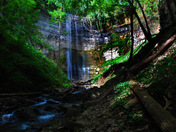 Tews Falls from the base